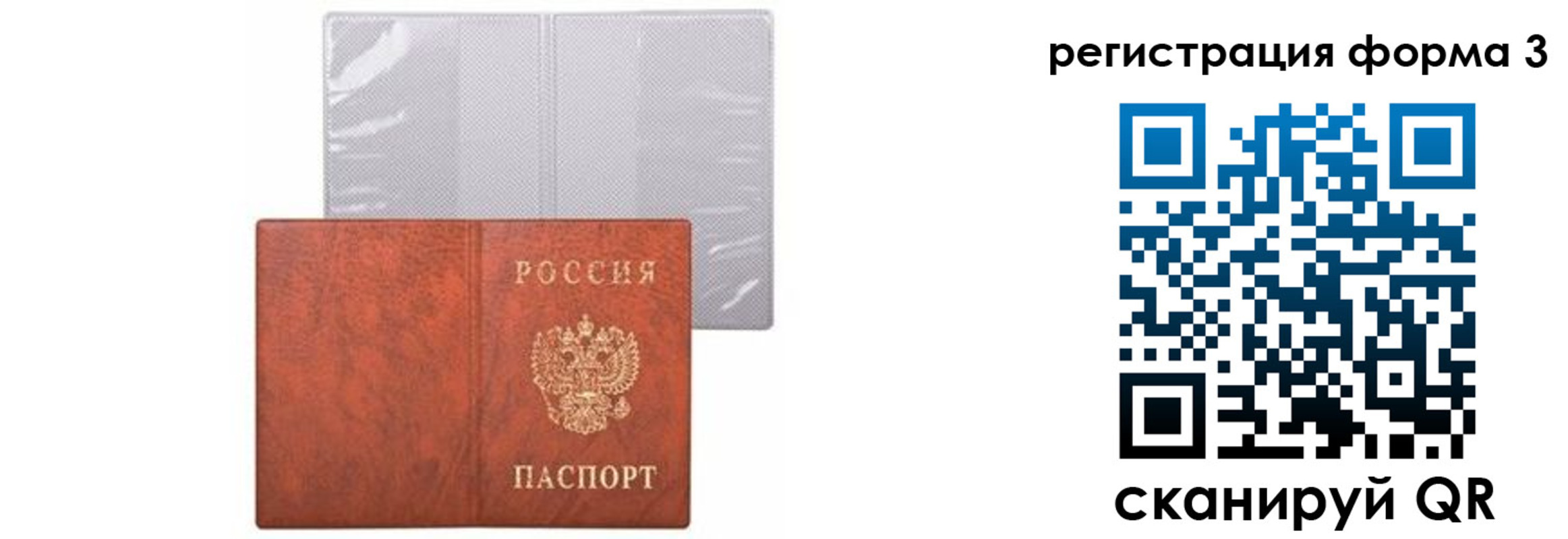 прописка 2025 в Сольцах